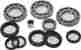 25-2097 All Balls Differential Bearing And Seal Kit Rear