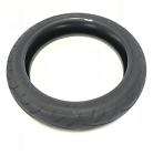 41009-0689 Not Specified Nice Sportmax Zr Tire Miles