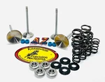 17-25 Honda Kibblewhite Intake & Exhaust Valves Springs Seals. Fixed Price $299.98.