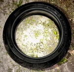 Michelin 180/55ZR-17 Road 6 Gt Rear Motorcycle Tire. Fixed Price $90.00.