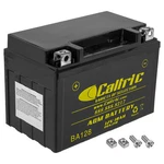 Agm Battery For Honda RVT1000R RC51 2000 2001 2002 2003 2004 2005 2006. Fixed Price $40.00.