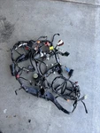 2008-2011 Honda Cbr 1000 Rr Wiring Harness Loom. Fixed Price $130.00.