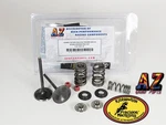 02-08 Honda Kibblewhite Azqp Stock Intake Valves Springs Seals. Fixed Price $159.98.