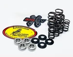 Kibblewhite Racing Spring Kit Titanium 0.440" Lift Honda '02-08. Fixed Price $148.88.